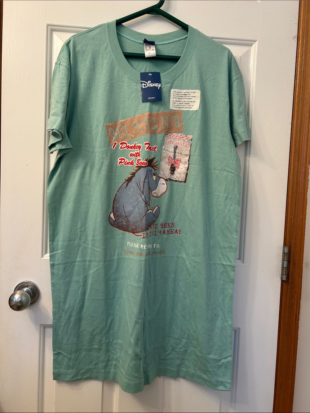 Disney Eeyore Graphic T‑Shirt Dress - Mint Green